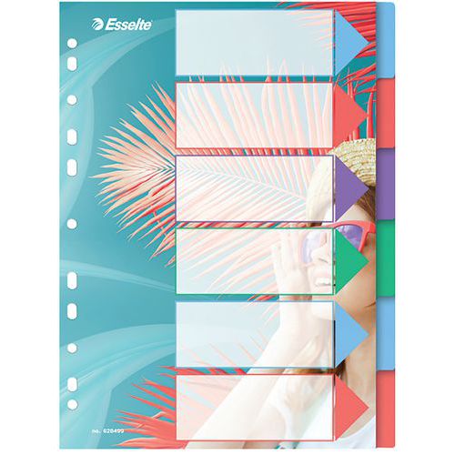 Esselte Tabblad A4 Colour'Breeze PP -