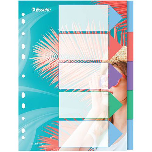 Esselte Tabblad A4 Colour'Breeze PP -