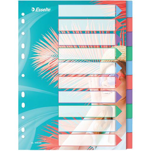 Esselte Tabblad A4 Colour'Breeze PP -