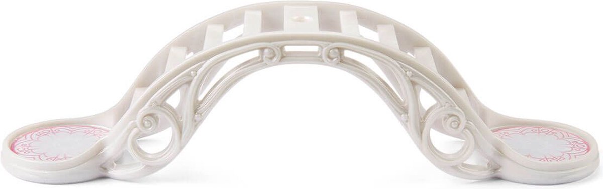 Schleich Winged Baby Lion Training