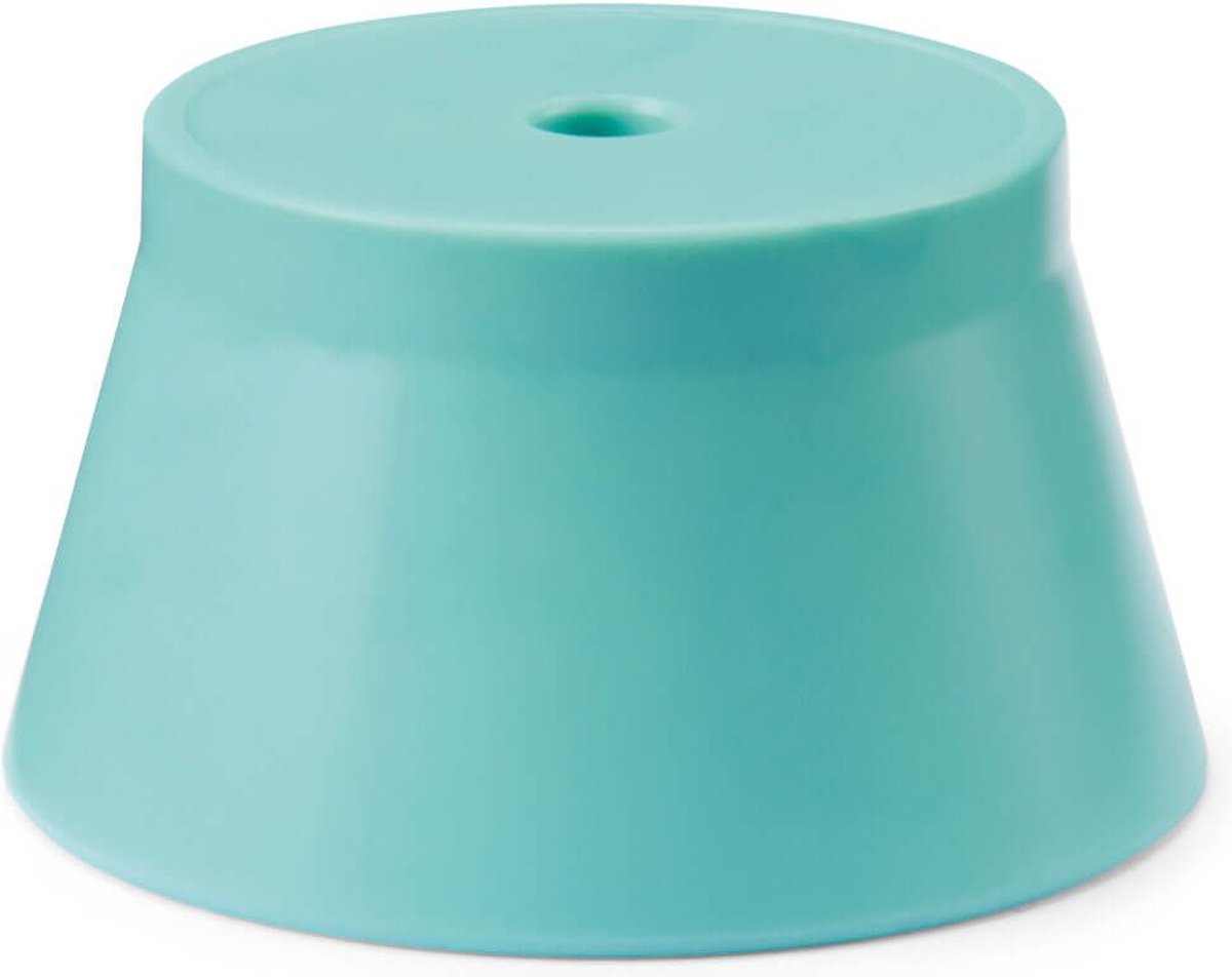 Schleich Winged Baby Lion Training