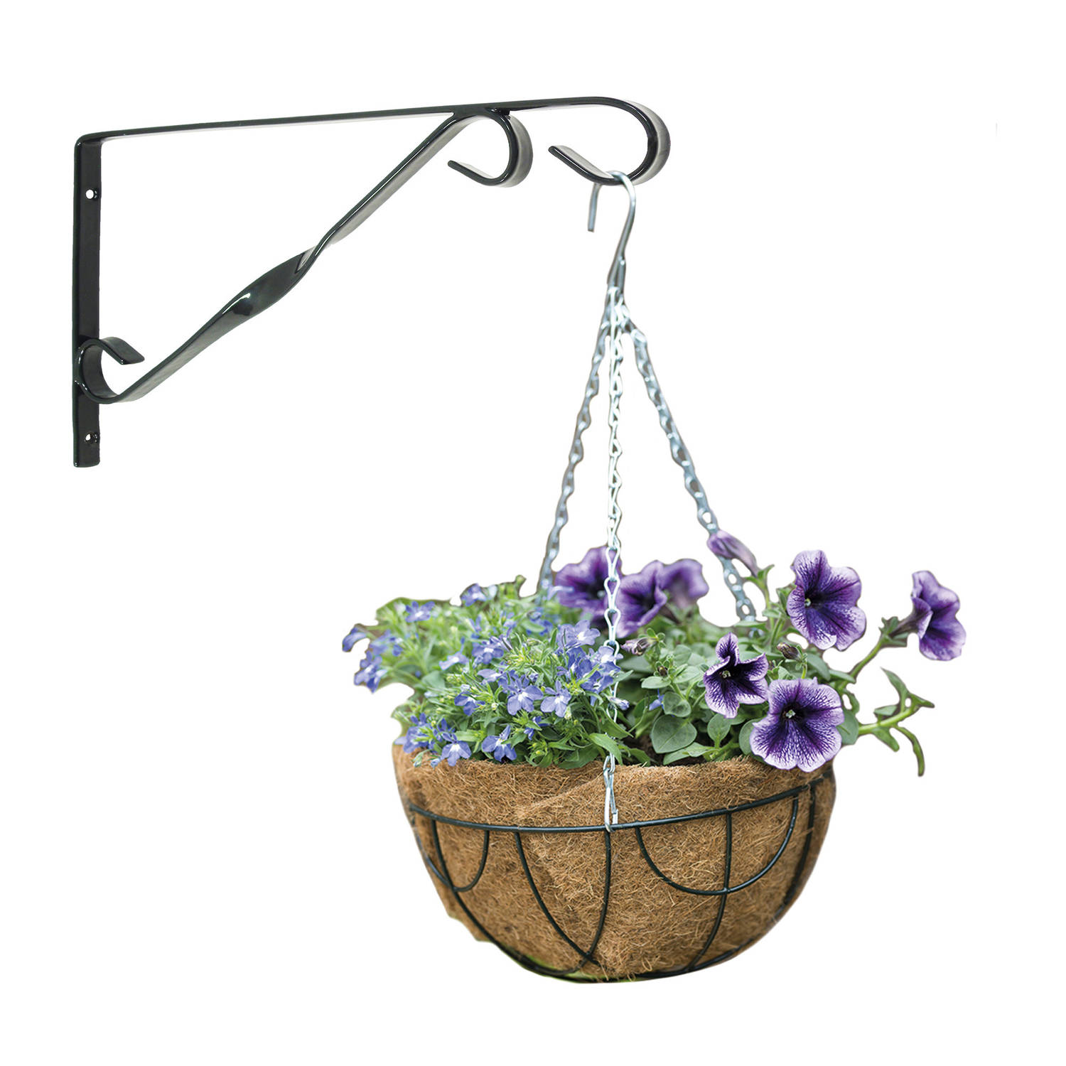 Nature Hanging Basket 25 Cm Met Klassieke Muurhaak Zwart En Kokos Inlegvel - Metaal - Complete Hangmand Set - Plantenbakken - Groen