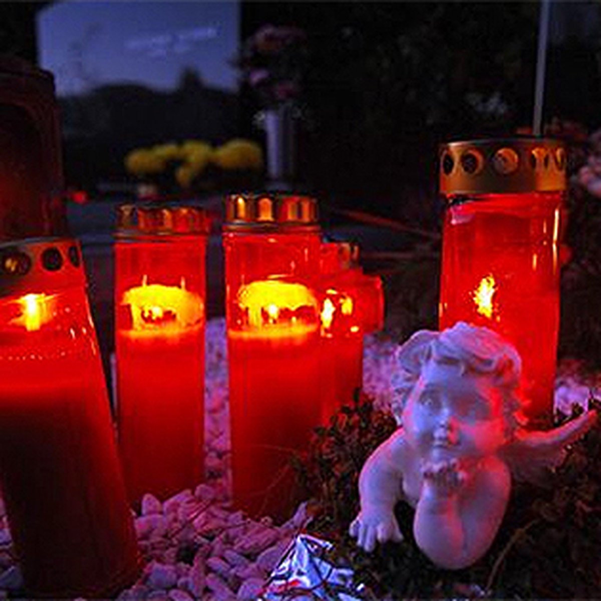 Bolsius Herdenkingslichten 20 St Compo No 3 - Rood