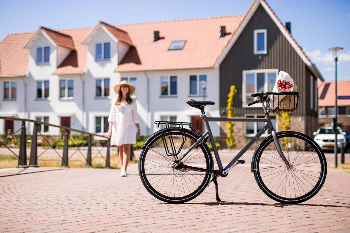 Steco Achterdrager Met Tasafhouders 28 Inch Staal - Zwart