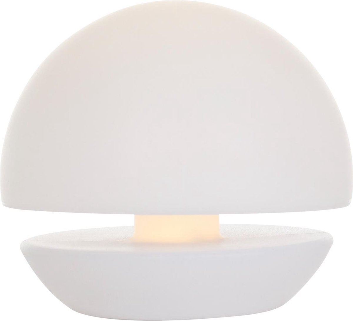 Anne Lighting 2482w