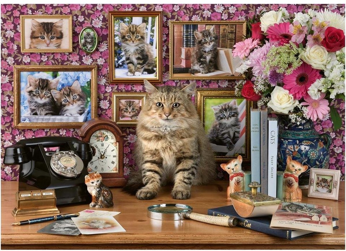 Ravensburger Puzzel Mijn Katjes 1000pcs