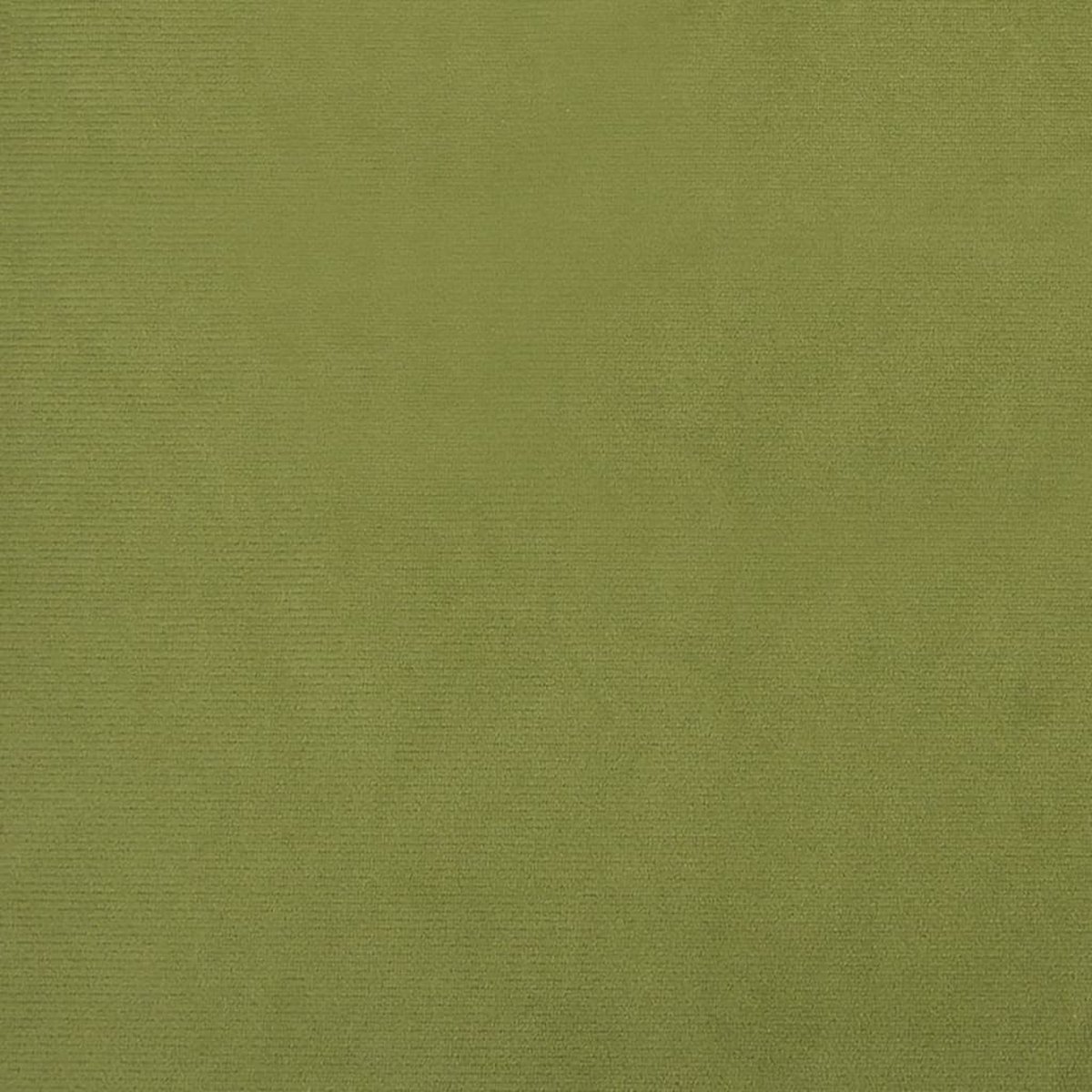 Vidaxl Eetkamerstoelen 4 St Fluweel Licht - Groen