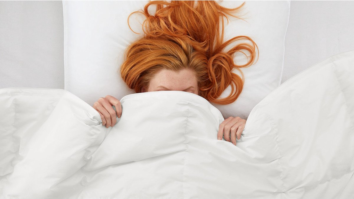 Ducky Dons Dukcy Dons Taurus 4-seizoenen Dekbed - 260x220