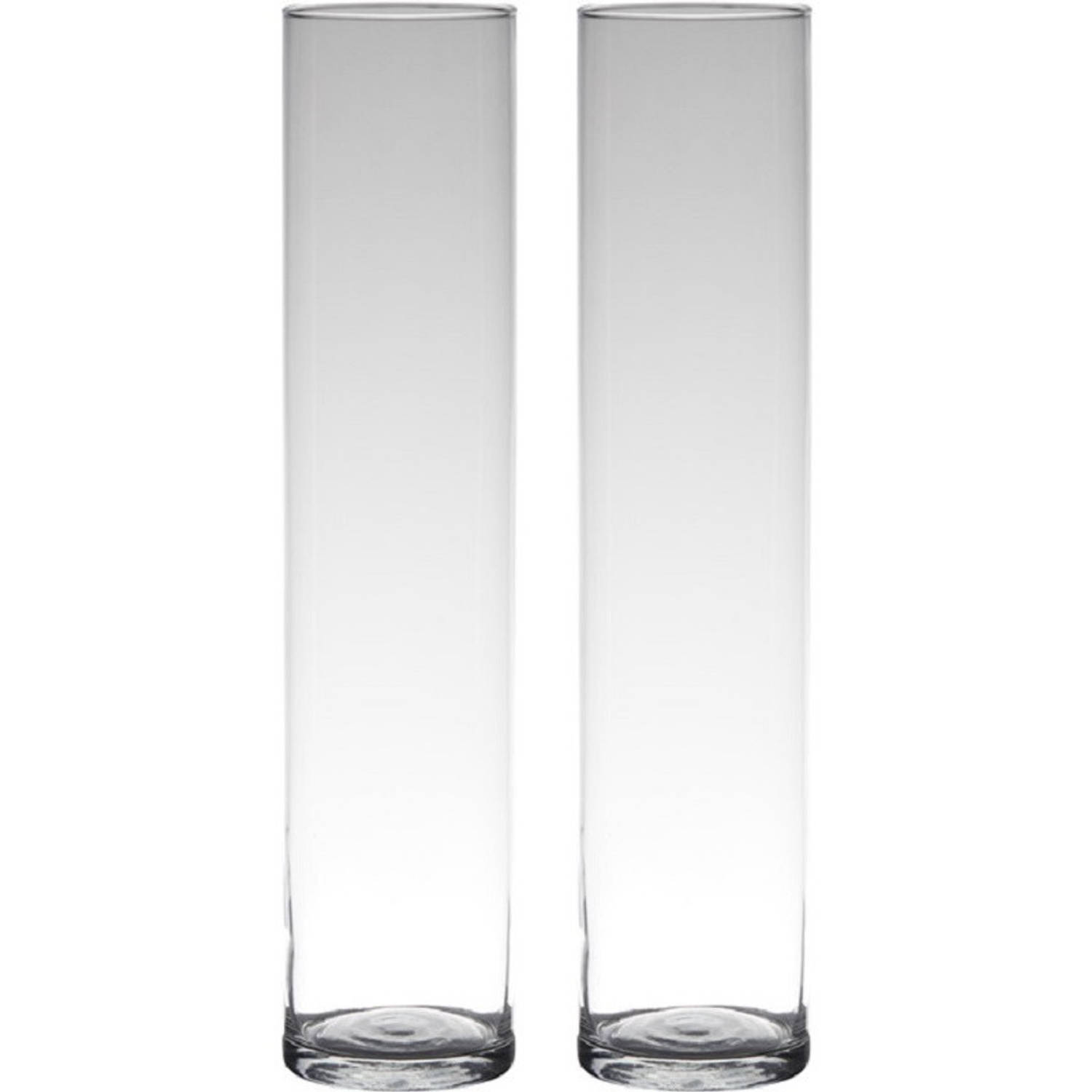 Bellatio Design Set Van 2x Stuks Transparante Home-basics Cylinder Vorm Vaas/vazen Van Glas 50 X 9 Cm - Vazen