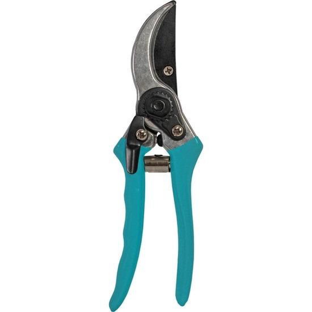 Tuingereedschap Smalle Heggenschaar Ene Snoeischaar Set- Tuinieren - Bomen/planten Snoeien - Blauw