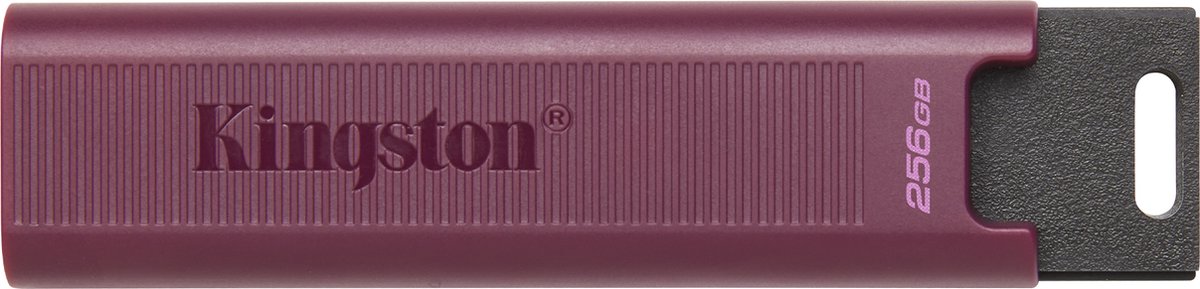 Kingston DataTraveler Max Type A 256GB