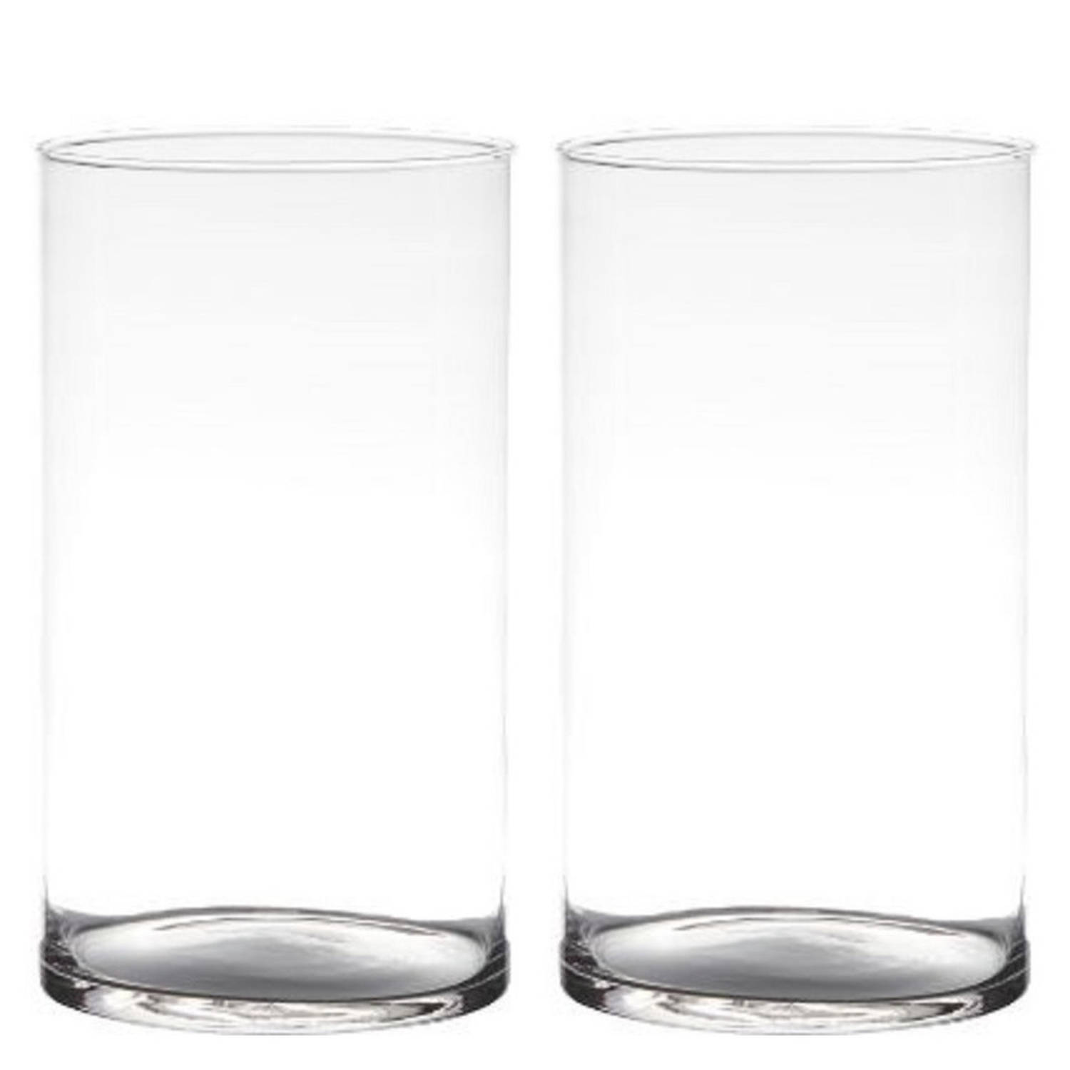 Bellatio Design Set Van 2x Stuks Transparante Home-basics Cylinder Vorm Vaas/vazen Van Glas 29 X 14 Cm - Vazen