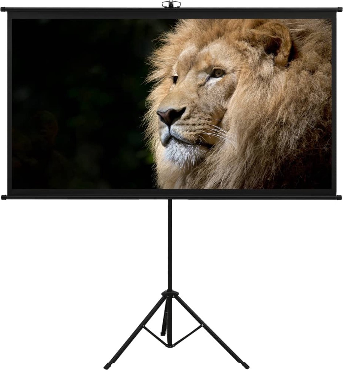 Vidaxl Projectiescherm Met Statief 4:3 100'' - Wit
