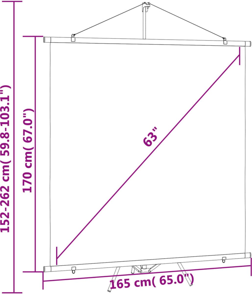 Vidaxl Projectiescherm Met Statief 1:1 63'' - Wit