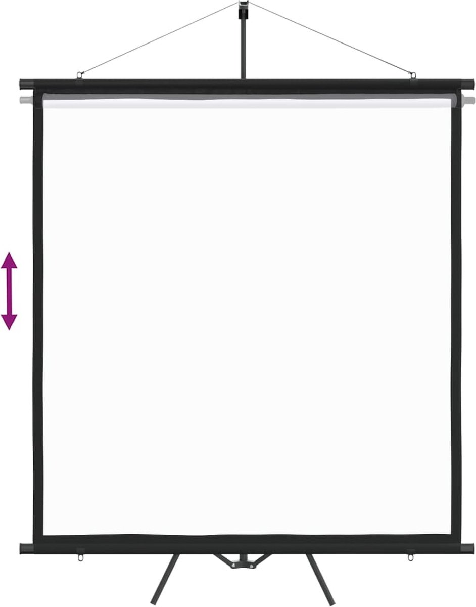 Vidaxl Projectiescherm Met Statief 1:1 63'' - Wit