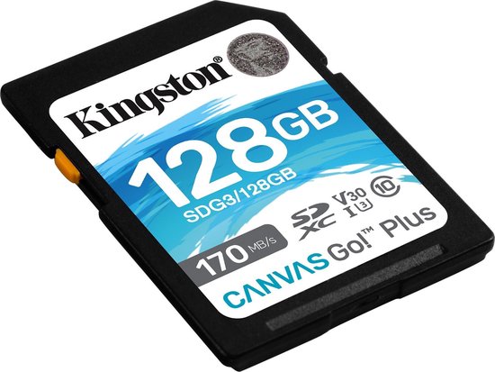 Kingston Canvas Go Plus 128GB - Zwart