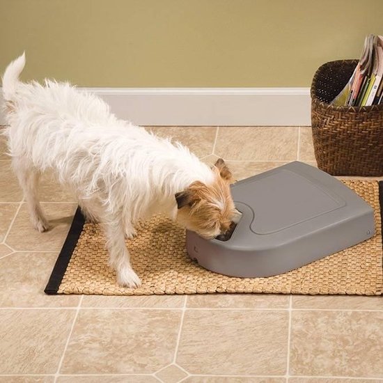 Petsafe Eatwell 5 maaltijden voerbak - Grijs