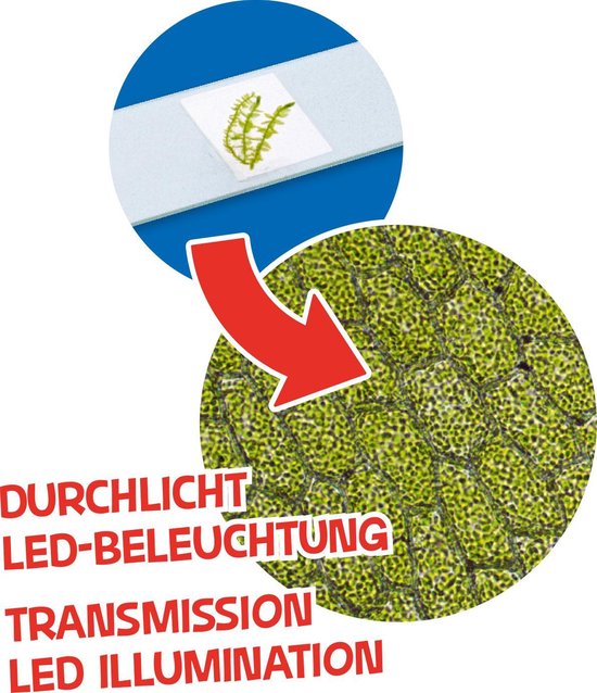 Bresser Microscoop Junior 22 Cm Staal 44-delig - Groen