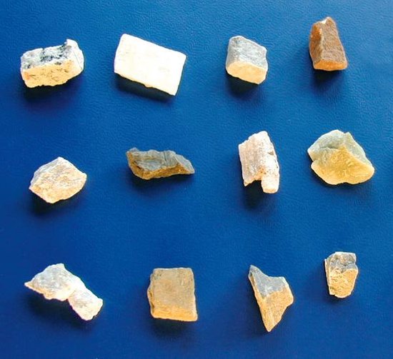 Bresser Microscoop Junior 22 Cm Staal 25-delig - Wit