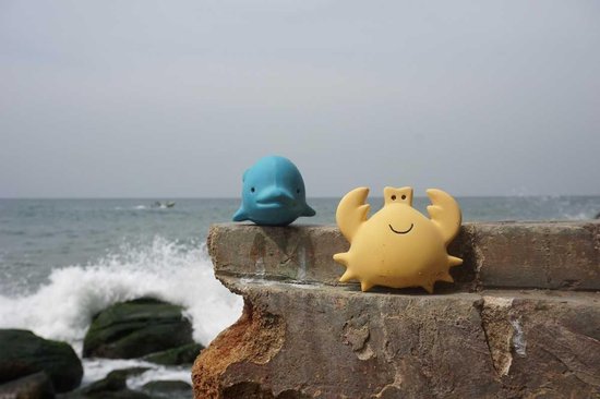 Tikiri : Mijn Eerste Oceaandiertje / Dolfijn 6cm, In Natuurlijk Rubber, Met Belletje, Met Hangkaart, 0+ - Blauw