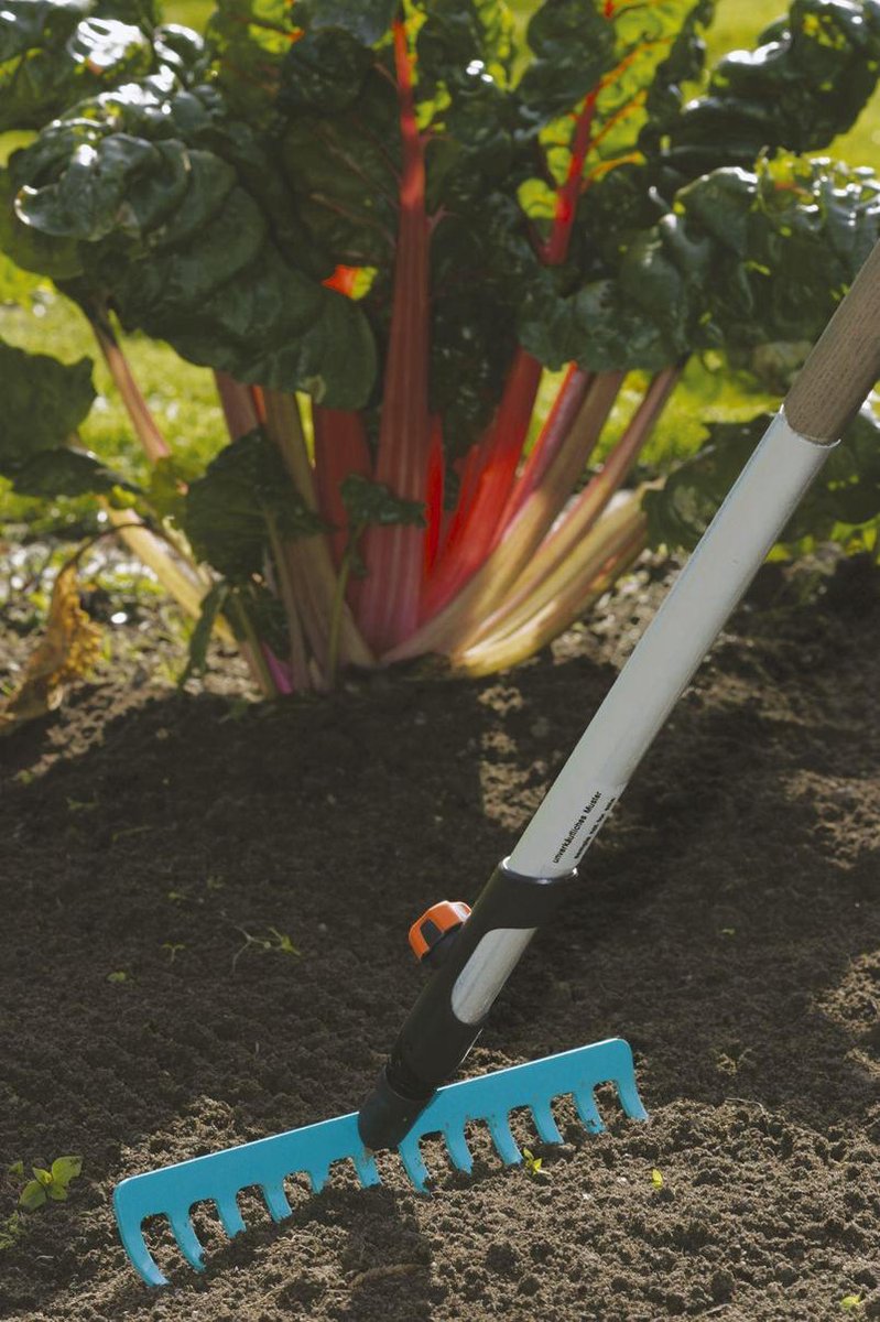 GARDENA Combi System Hark 12-tands Zonder Steel - Blauw