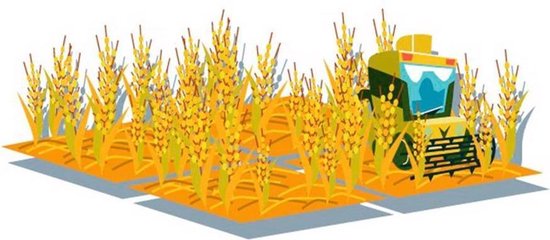 White Goblin Games Machi Koro Familiespel - Blauw