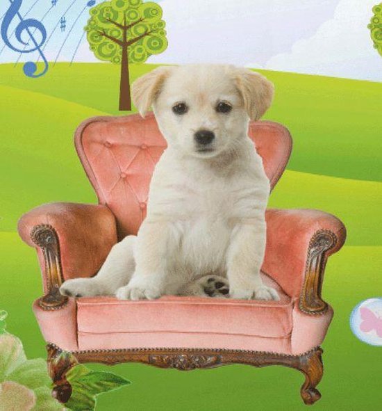 Damai Dekbedovertrek Maddy 140x220 Cm - Blauw