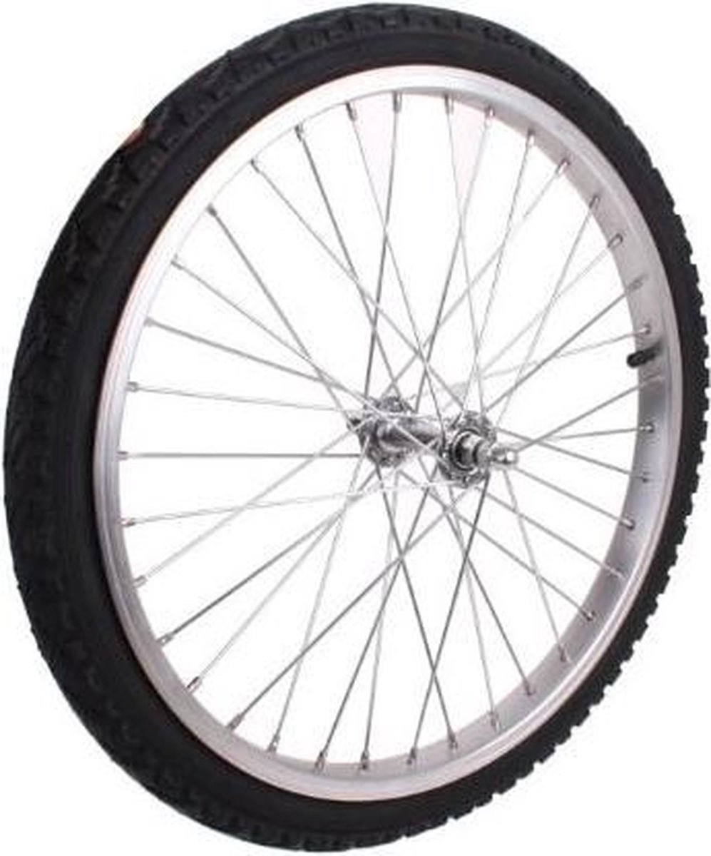 Roland Wiel Fietskar 20 Inch Compleet Jumbo Alum. 36t Zilver - Silver