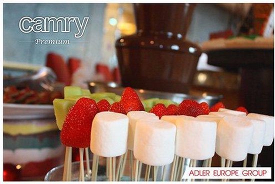 Camry Cr 4457 - Chocolade Fontein