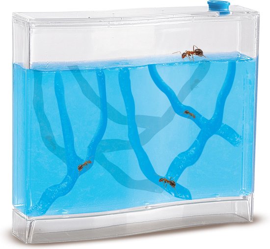 Ses Explore Mieren Bekijken