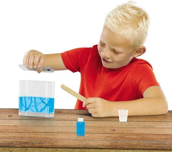 Ses Explore Mieren Bekijken