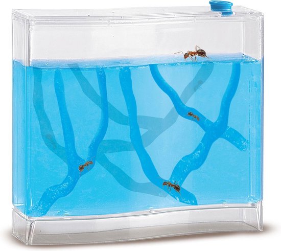 Ses Explore Mieren Bekijken