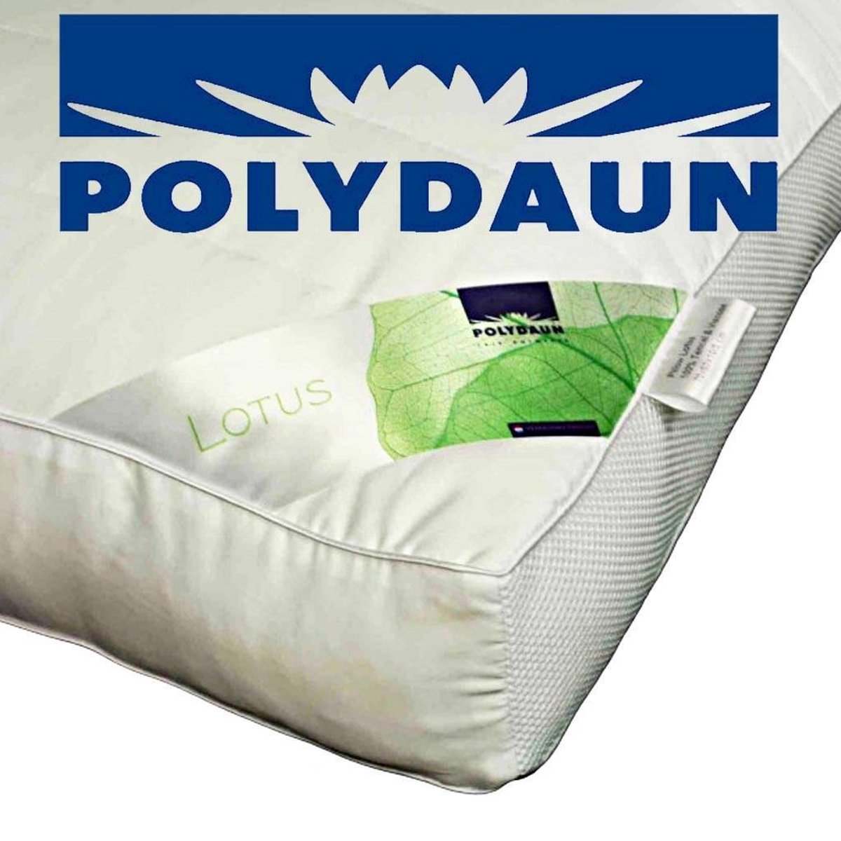 Polydaun Lotus Synthetisch Medium Hoofdkussen - Synthetisch - 50x62x10/5 Cm, Passend In Kussensloop Van 60x70 Cm - - Wit