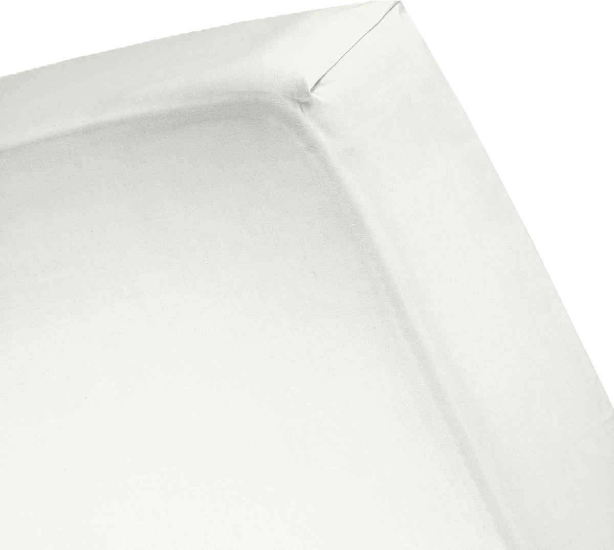 Cinderella Basic Percaline Katoen Hoeslaken - 100% Percaline Katoen - Lits-jumeaux (180x220 Cm) - Ivory - Wit