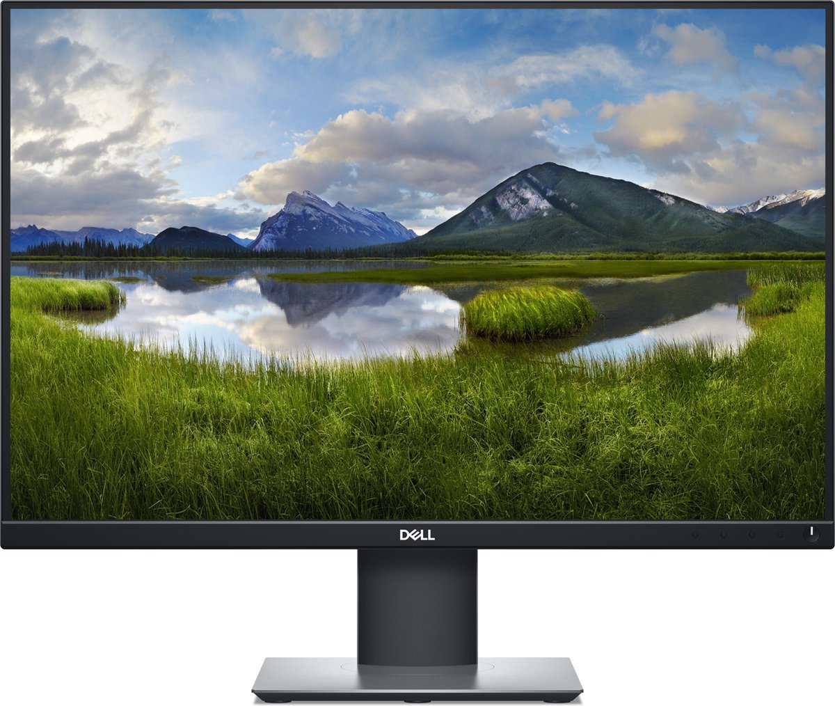 Dell P2421