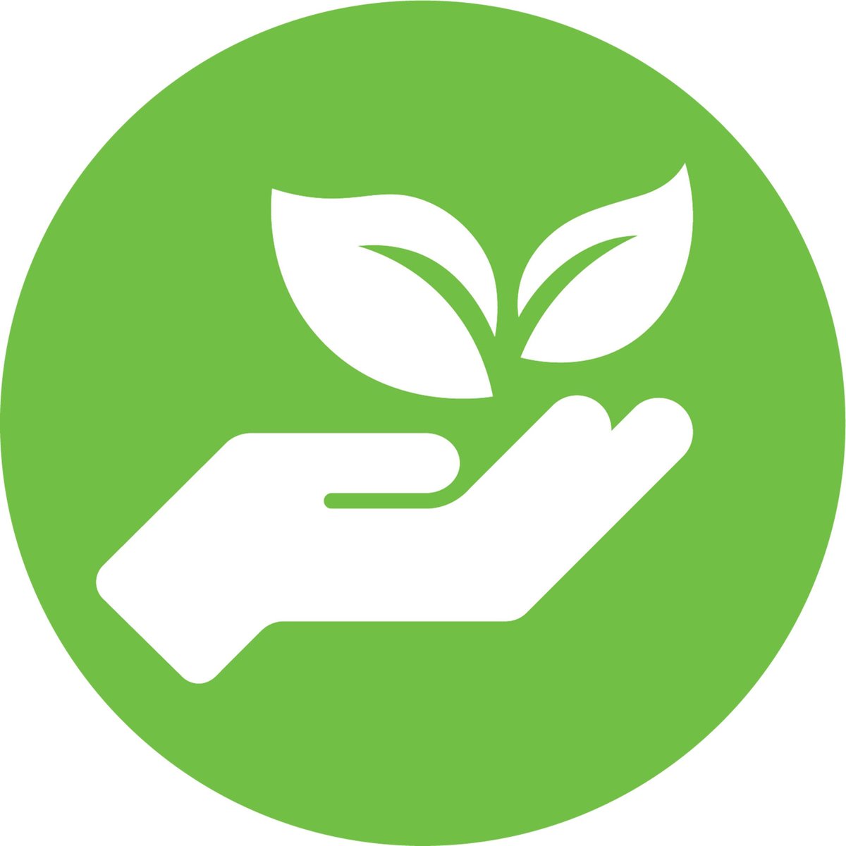 Dymo adres-etiketten groot 36 x 89 mm wit 1x 260