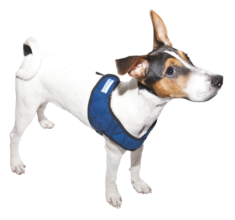 Aqua Coolkeeper Cooling Comfy Harnass Pacific Blue