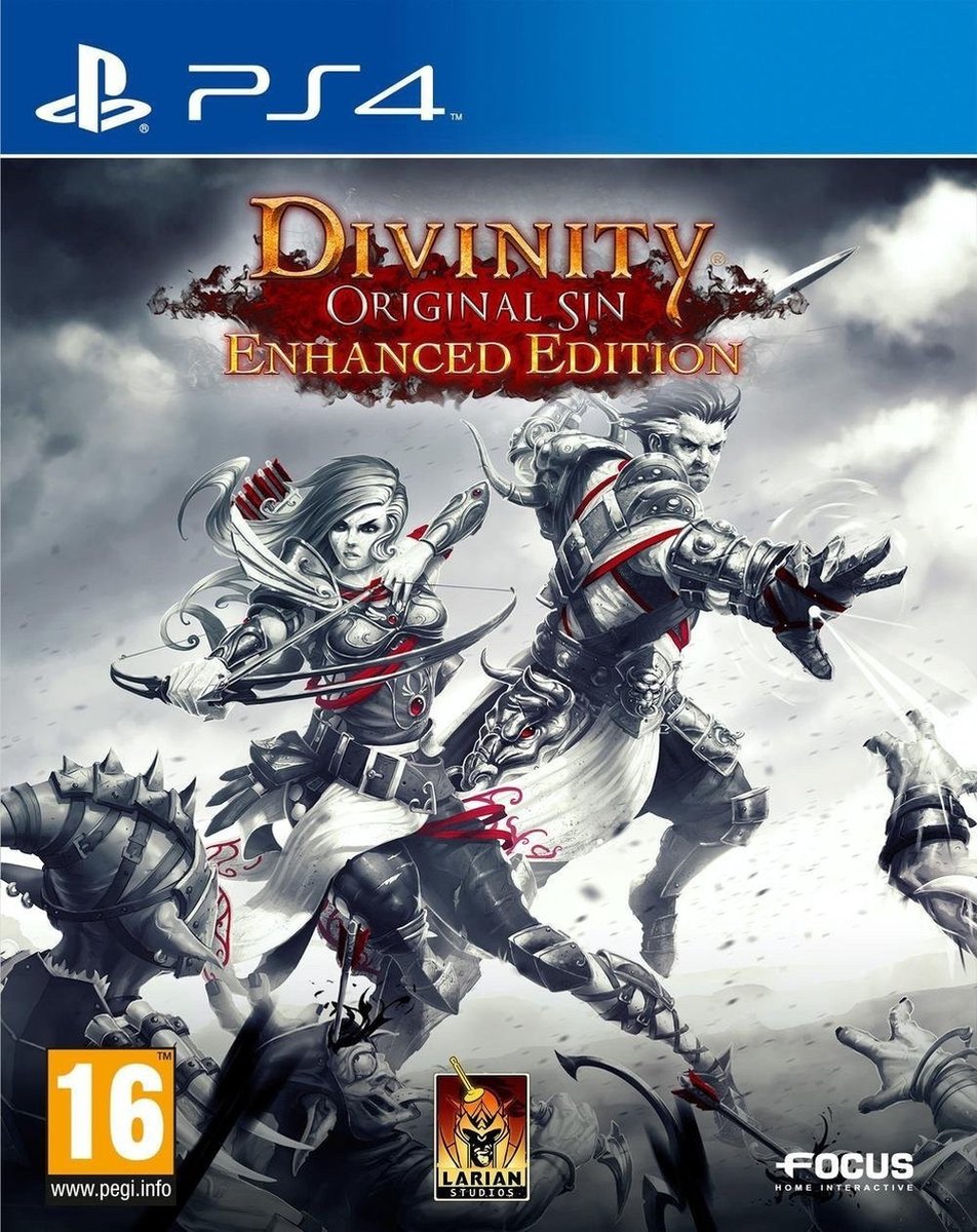 Deep Silver Divinity Original Sin Enhanced Edition