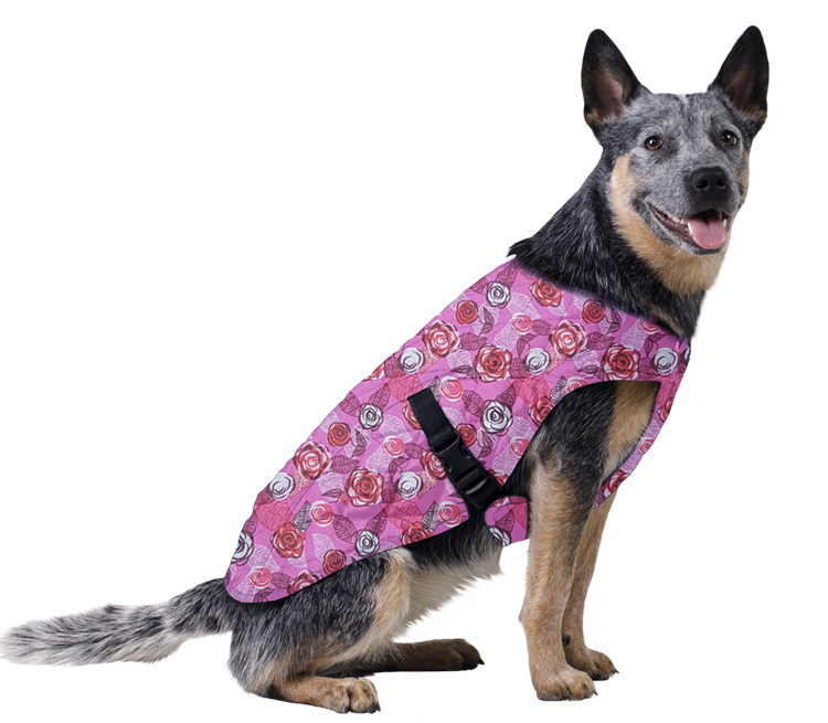 Aqua Coolkeeper Cooling Pet Jacket Roses