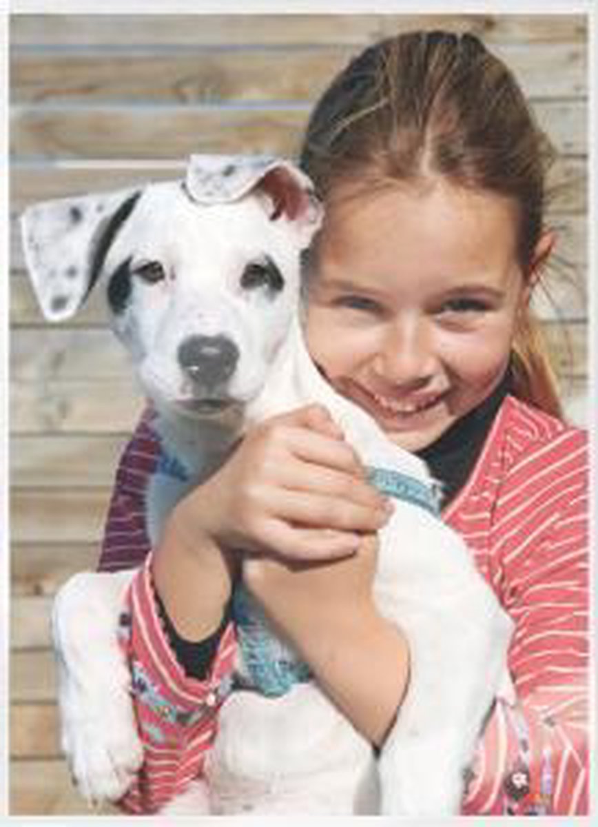 Leitz Lamineerhoes iLAM UDT warm hoogglans A3 80 micron