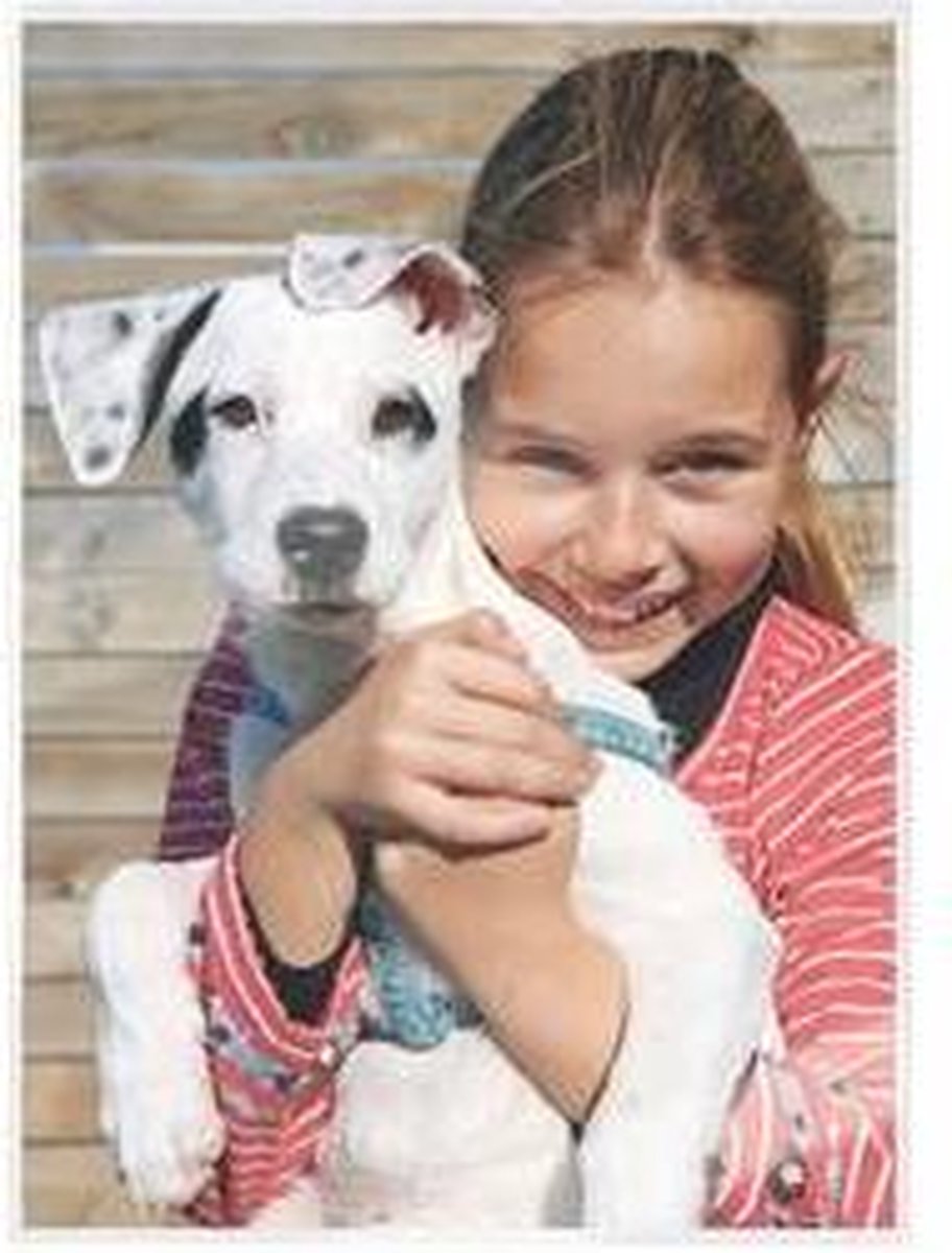 Leitz Lamineerhoes iLAM UDT warm A4 80 micron transparant