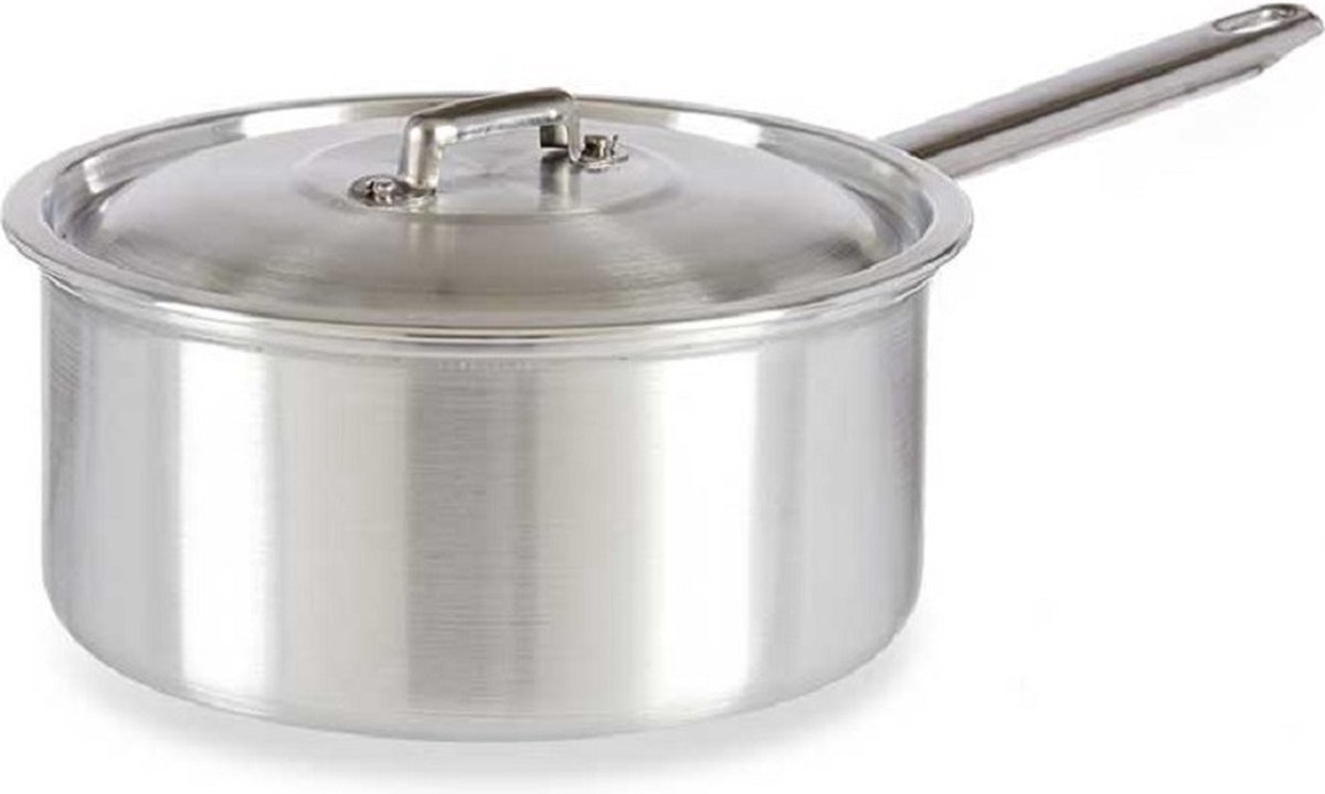 Steelpan/sauspan/juspan Zilverkleurig 38 X 22 X 12 Cm Van 3 Liter Aluminium - Steelpannen - Silver