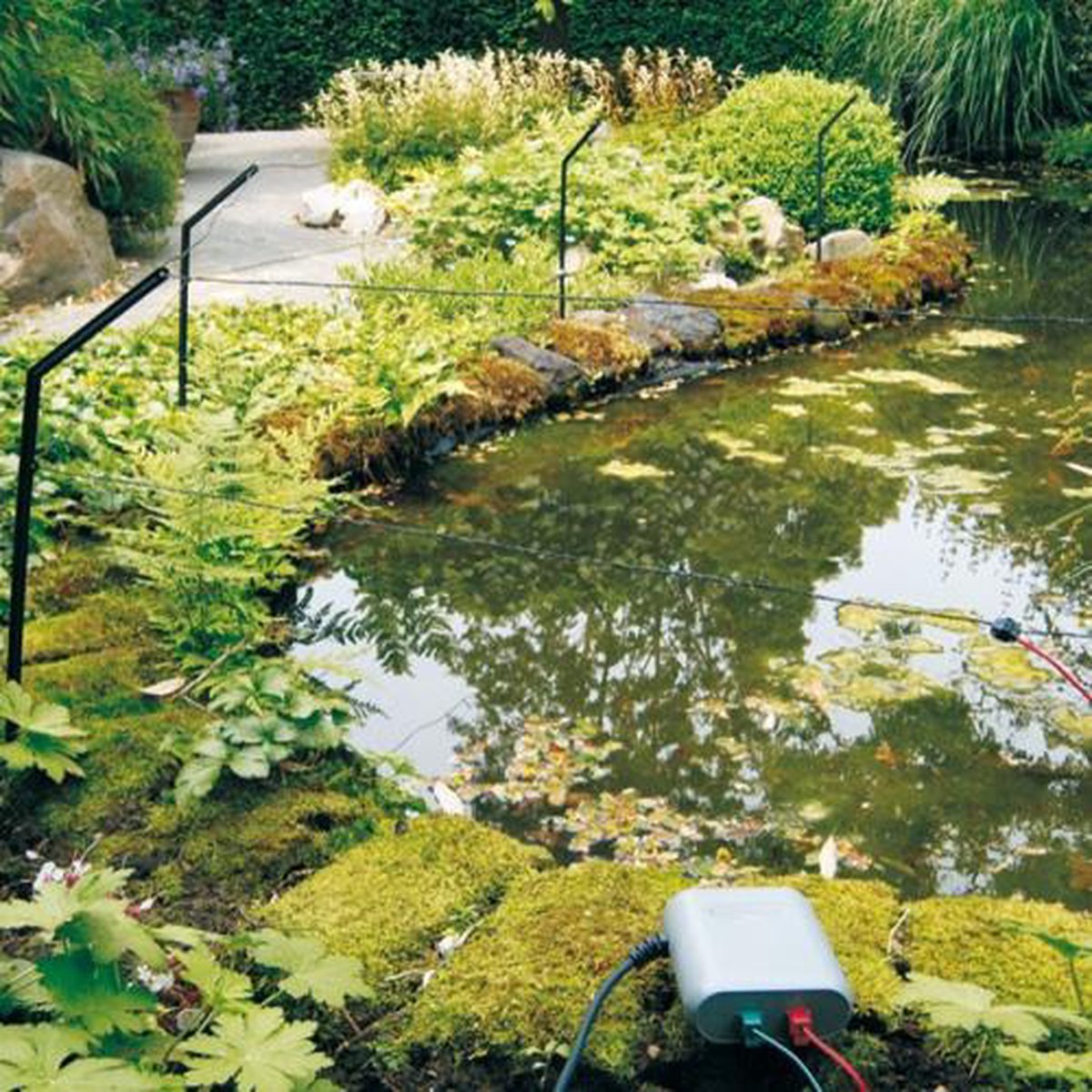 Velda Vijverbeschermer