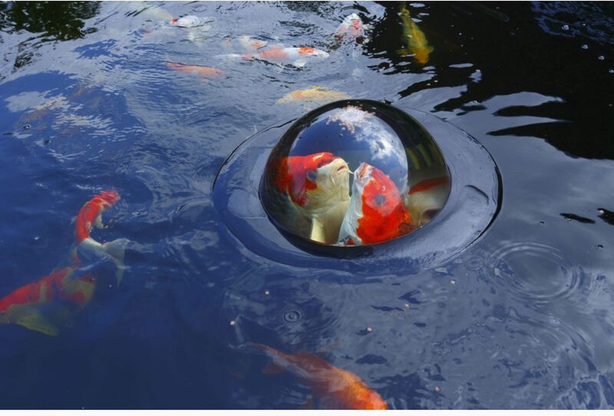 Velda Floating Fish Dome Doorkijkbol M - Zwart