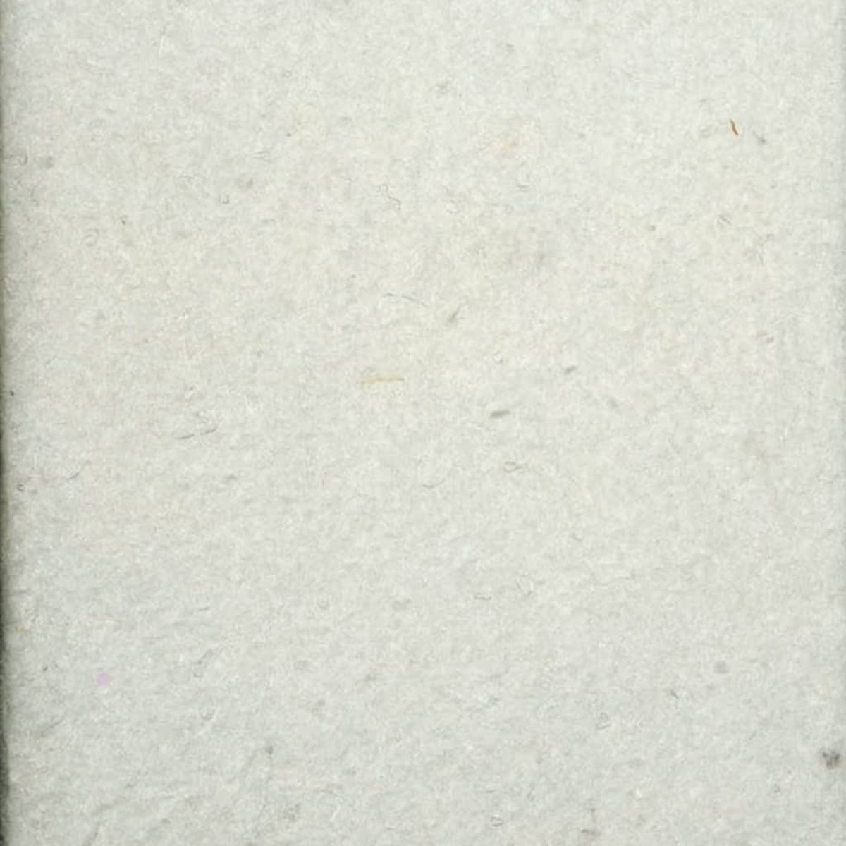 Ubbink Synthetische Onderlaag 5x2 M 200 G/m² Wit 1331960