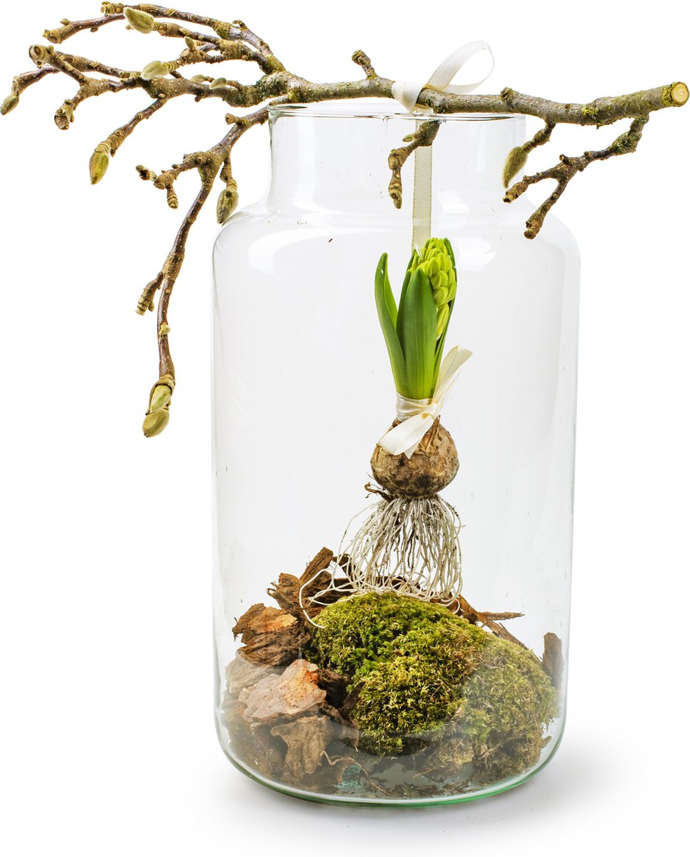 Set Van 2x Stuks Transparante Melkbus Vaas/vazen Van Eco Glas 19 X 35 Cm - Vazen