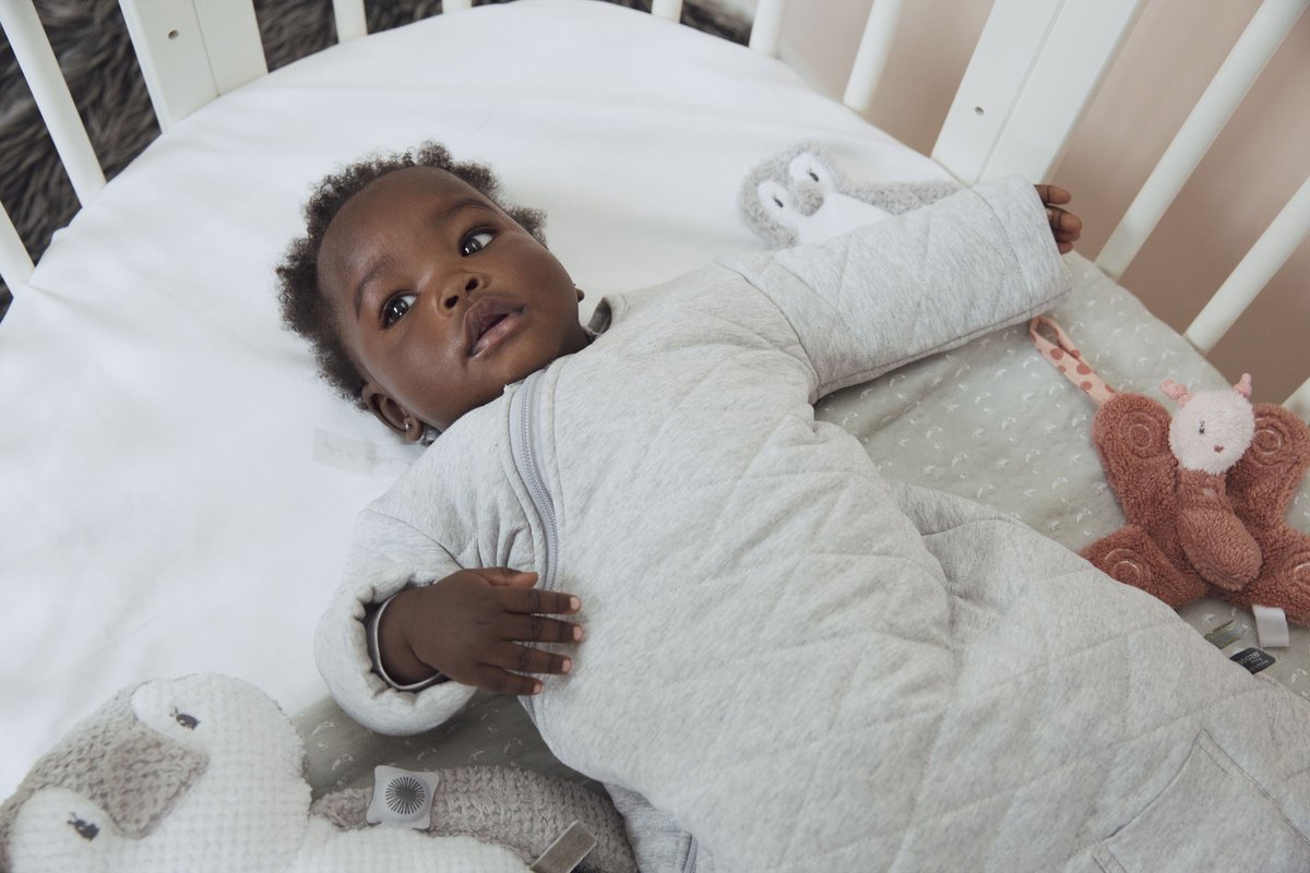 Snoozebaby Knuffeltje Bella Butterfly - Dusty Rose