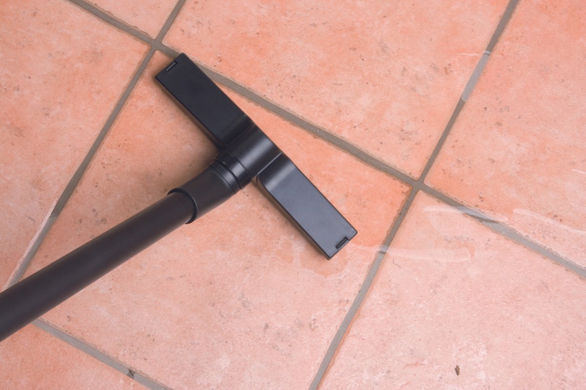 Ubbink Vacuprocleaner Vijverreiniger Compact 1379119