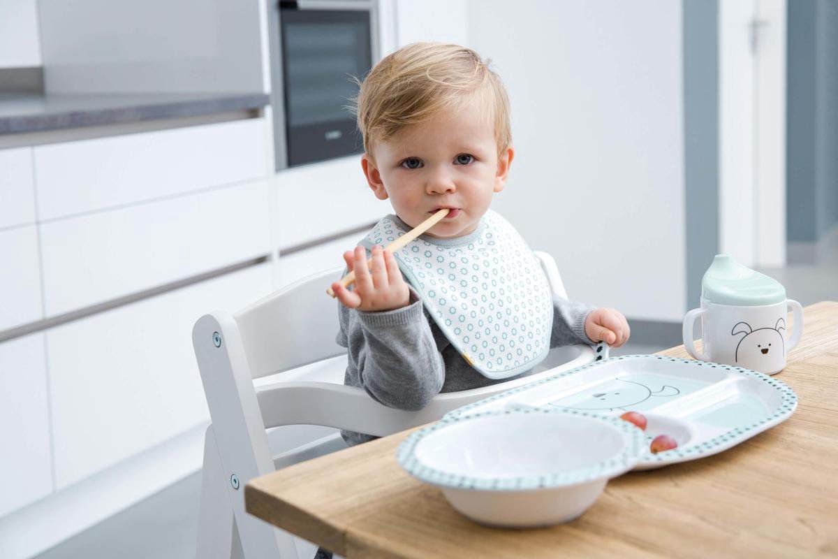 Lässig Slabbetjes Actie 5-pack Little Chums Hond