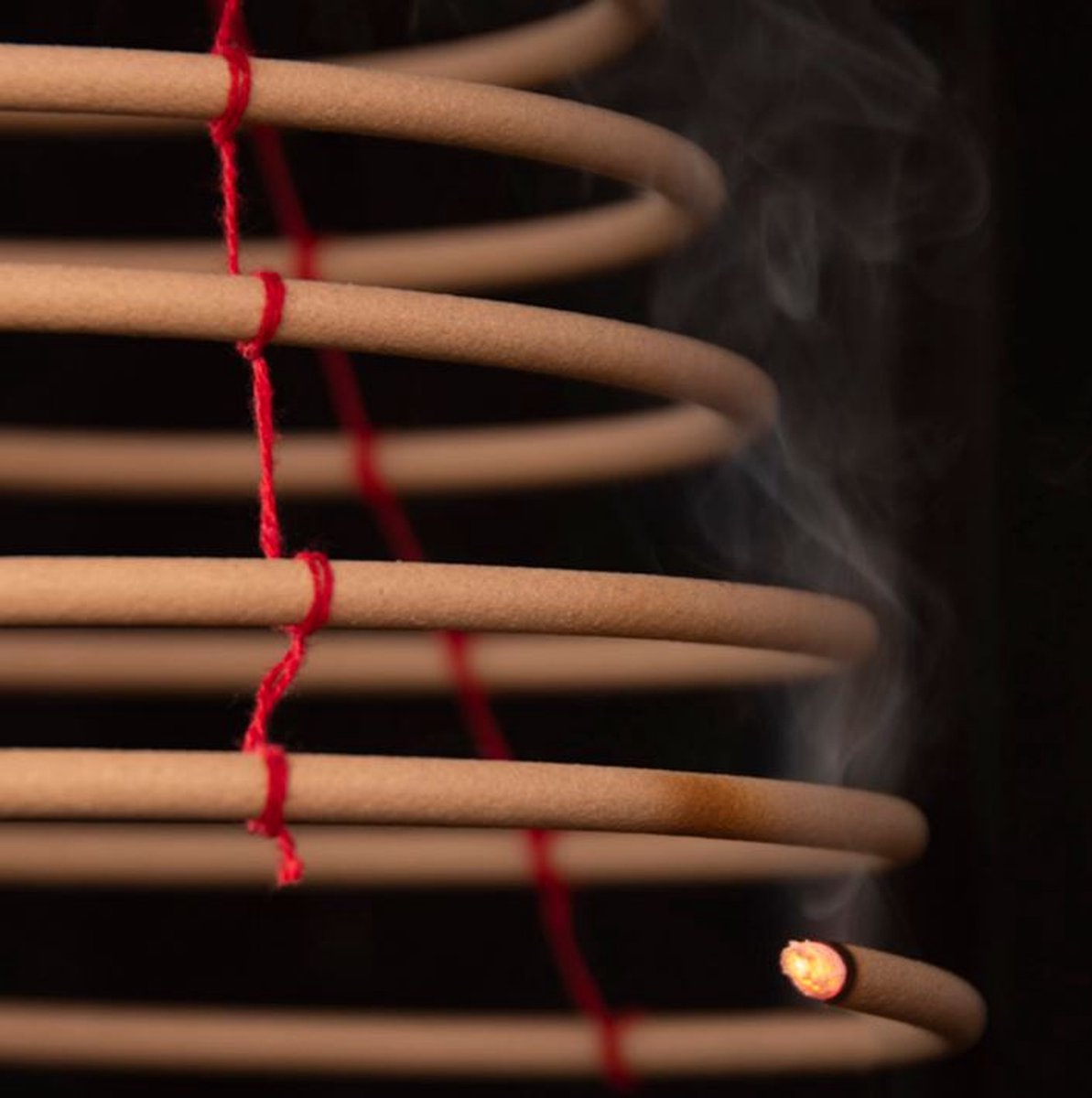 Bo-Camp Citronella spiraal hangend (s) - Bruin